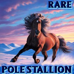 Stallion